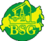 Логотип компании Балтик Сервис Групп