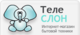 Логотип компании Teleslon.ru